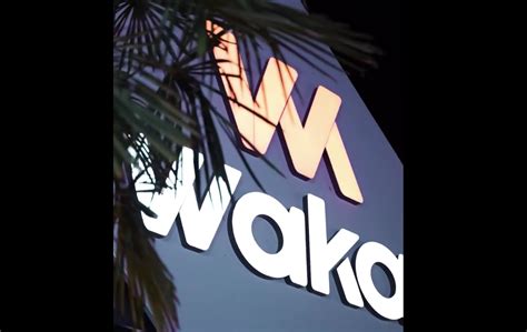 felacion discoteca|Felación en la discoteca Waka Sabadell: descartan una